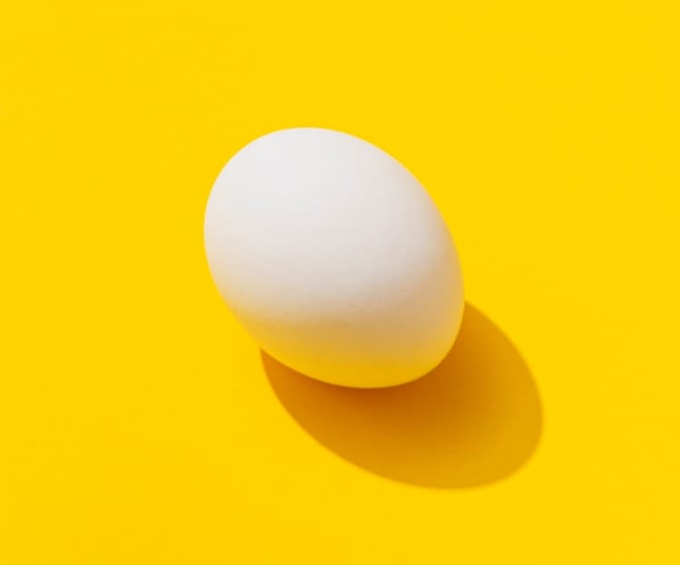 image of an egg with yellow background